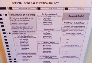 2014 ballot