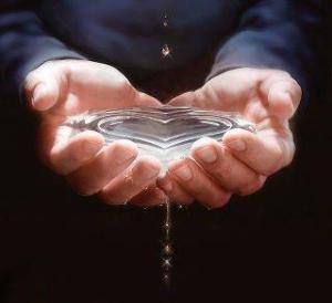 196071_357375824352736_1197892980_n