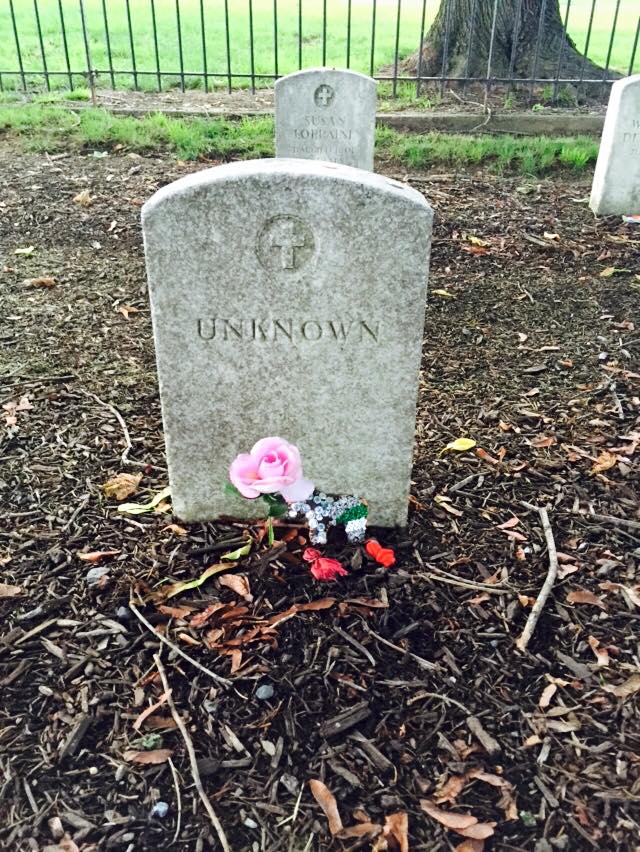 11225182_171070633226196_2964514858417508092_n