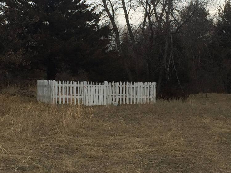 12771480_1048143345232443_6724152114318327095_o